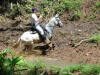 horseback riding in costa rica